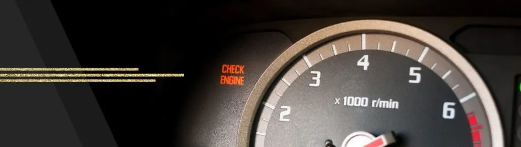 scale used to determine stress weight gain