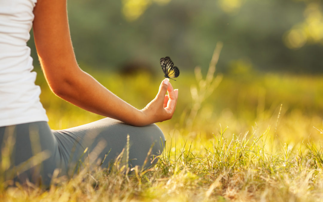 The Butterfly Effect of Group Meditation
