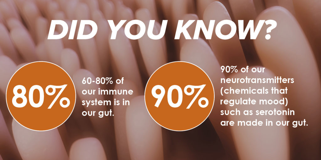 The gut holds up to 80% of our immune system, and is where 90% of our neurotransmitters are made.