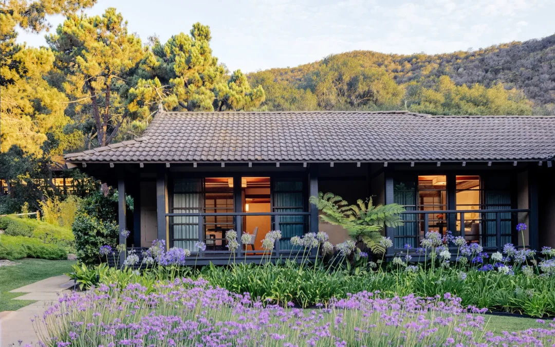 Top 10 Best Resort Spas in the USA for a Luxurious Wellness Getaway